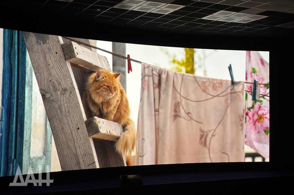 Фото: Донецкое агентство новостей