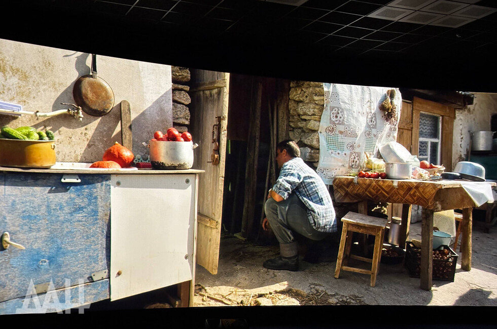 Фото: Донецкое агентство новостей