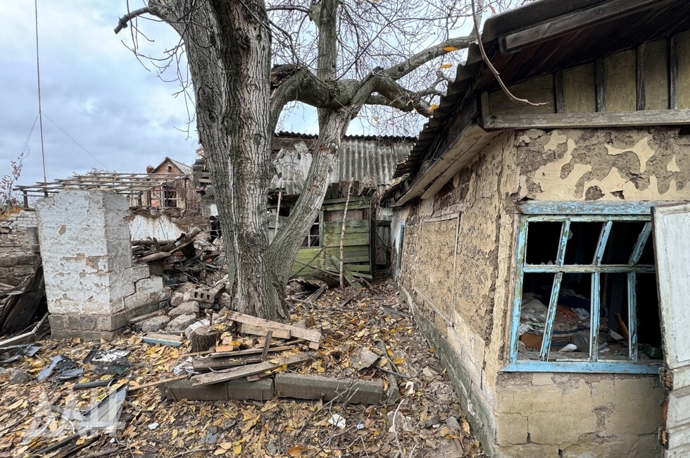 Фото: Донецкое агентство новостей