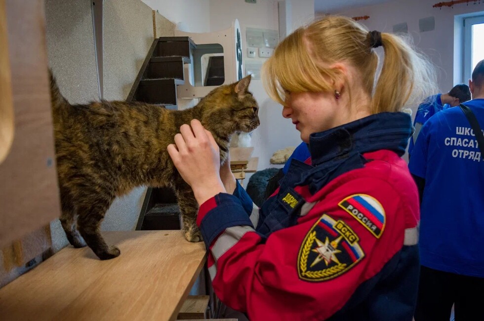Фото: пресс-служба Донецкого РО ВСКС