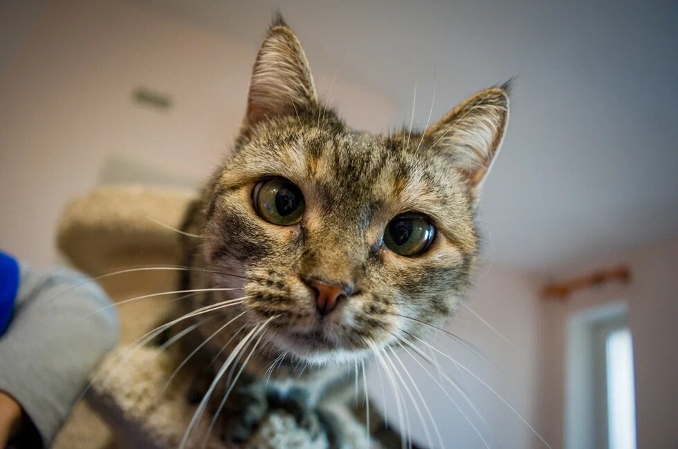 Фото: пресс-служба Донецкого РО ВСКС