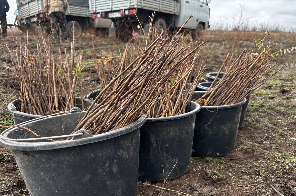 Фото: пресс-служба Минприроды ДНР