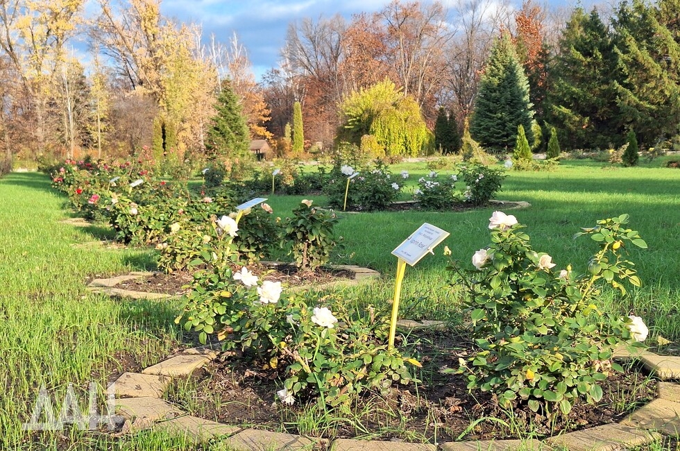 Фото: Донецкое агентство новостей 
