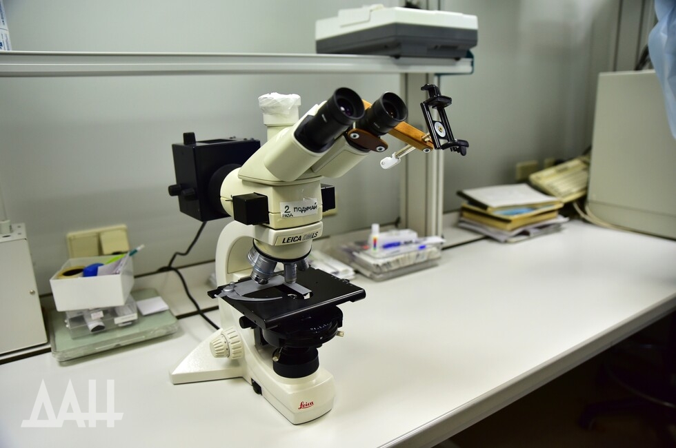 Фото: Донецкое агентство новостей