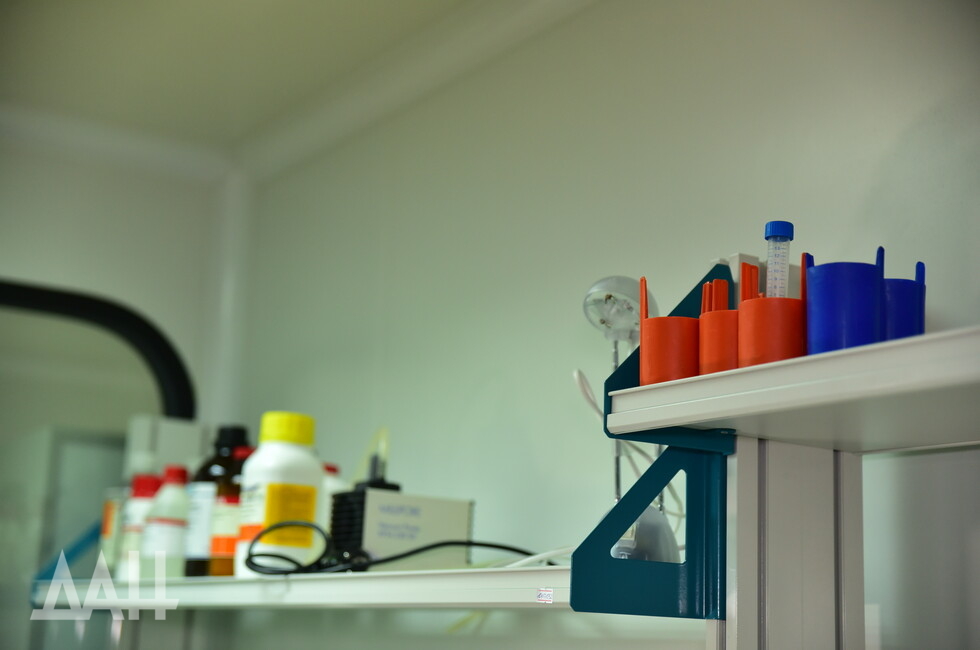 Фото: Донецкое агентство новостей