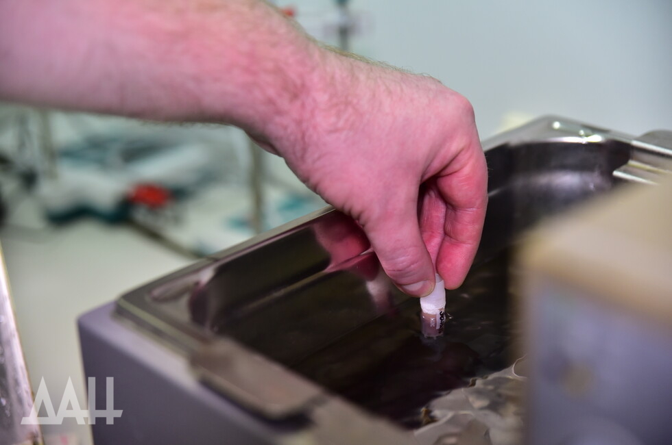 Фото: Донецкое агентство новостей