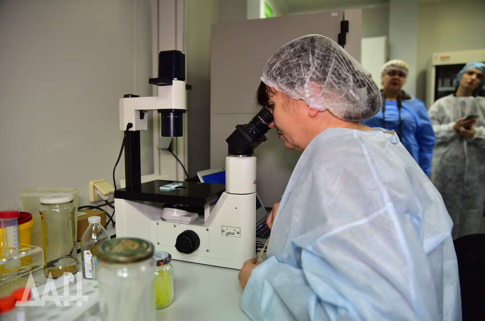 Фото: Донецкое агентство новостей