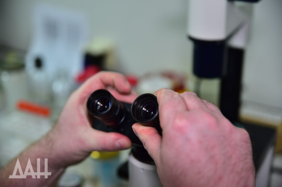 Фото: Донецкое агентство новостей