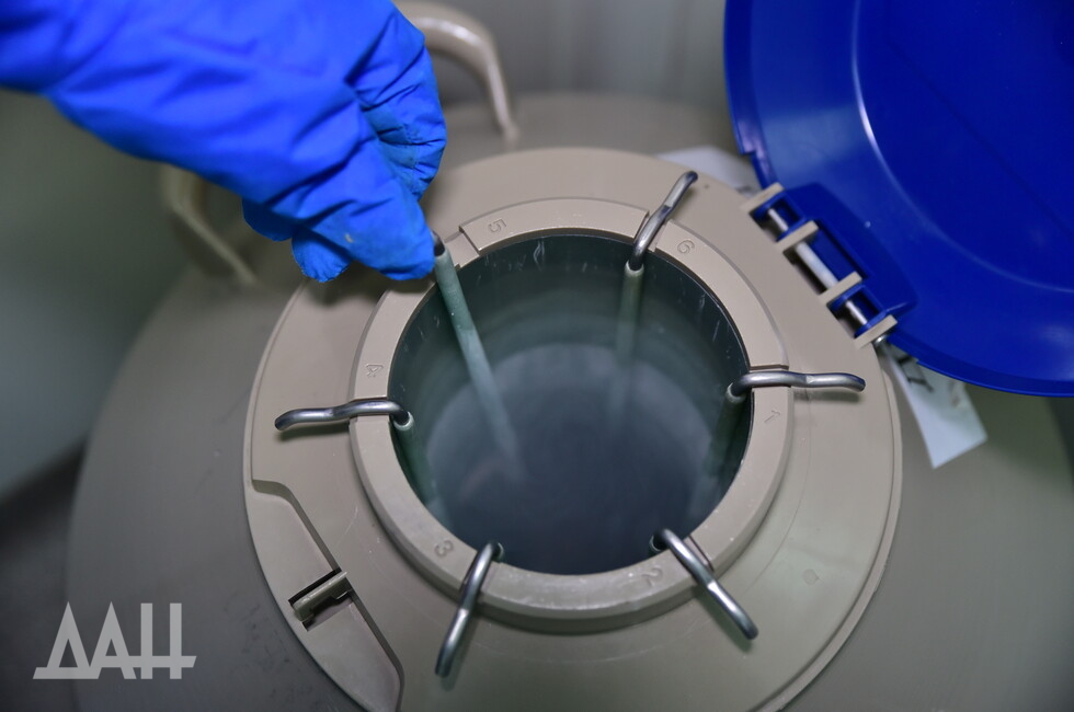 Фото: Донецкое агентство новостей