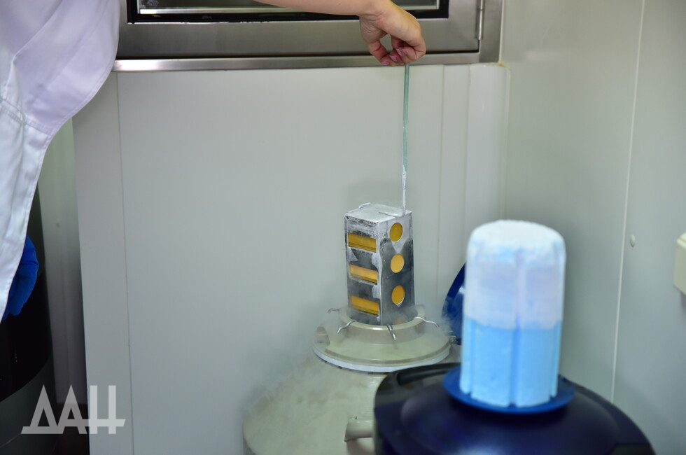 Фото: Донецкое агентство новостей