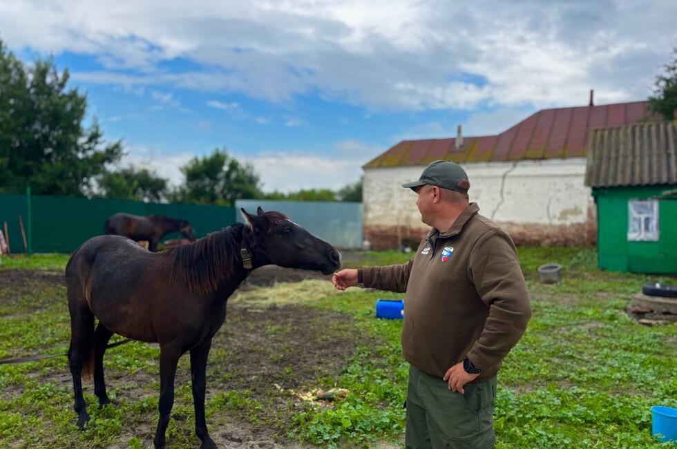 Фото: Официальный ТГ-канал сенатора Игоря Кастюкевича