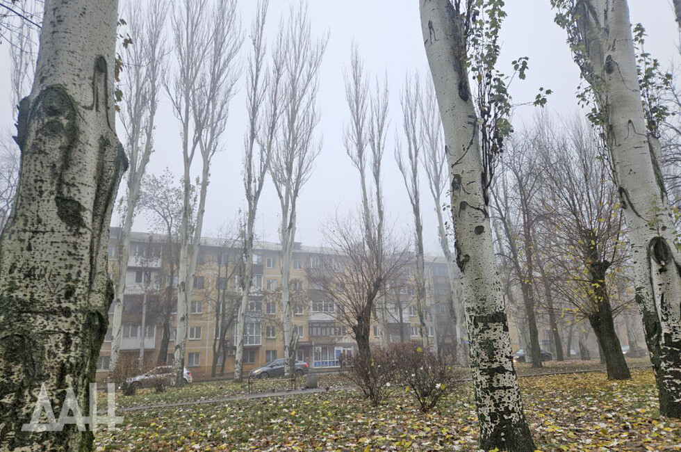 Фото: Донецкое агентство новостей