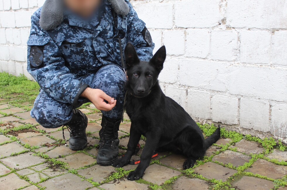 Фото: пресс-служба ГУФСИН России по ДНР