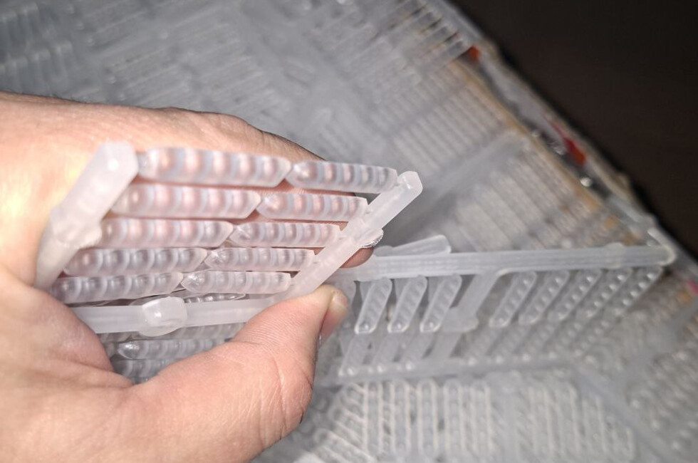 Фото: Личный архив собеседника ДАН