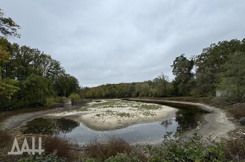 Фото: Донецкое агентство новостей