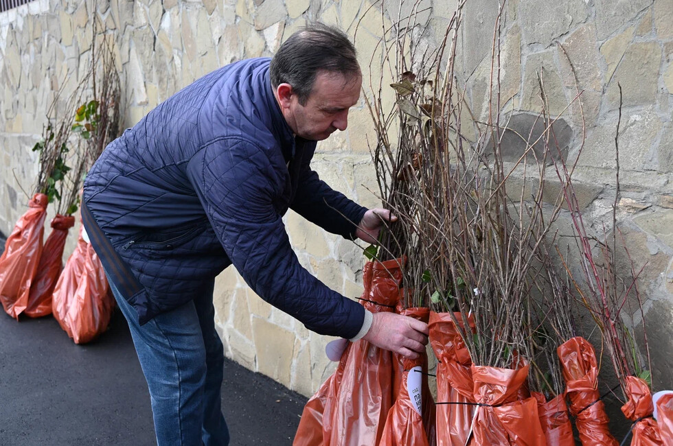 Фото: пресс-служба Министерства природных ресурсов и экологии ДНР