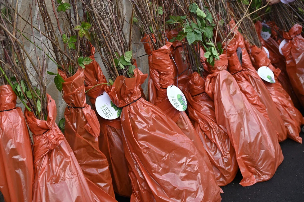 Фото: пресс-служба Министерства природных ресурсов и экологии ДНР