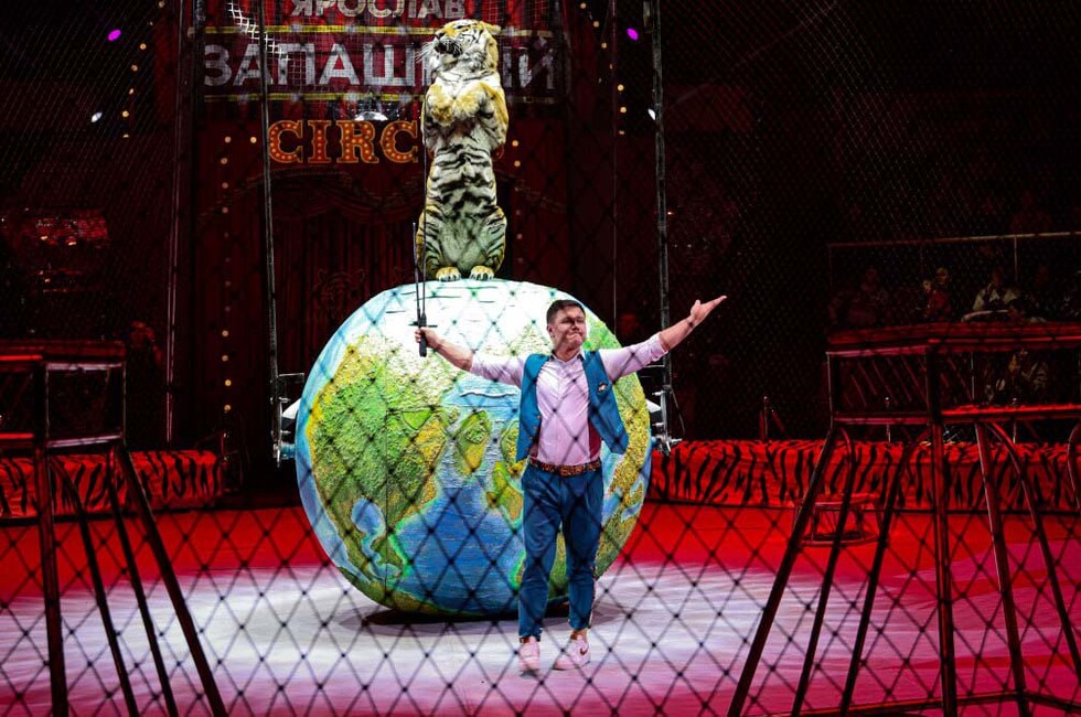 Фото: Луганский Информационный Центр/Анастасия Стеценко