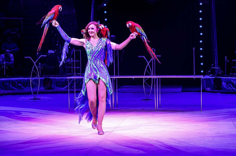 Фото: Луганский Информационный Центр/Анастасия Стеценко