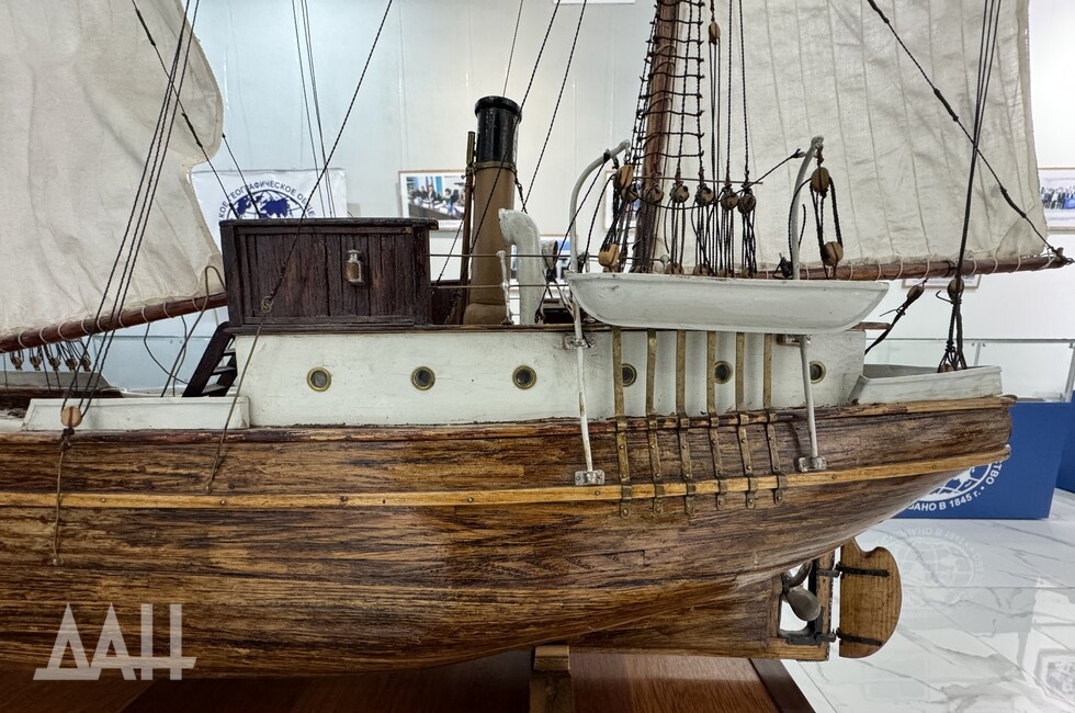 Фото: Донецкое агентство новостей