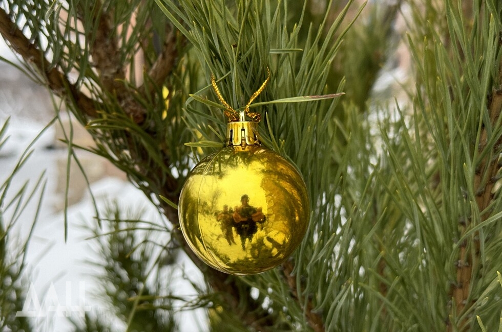 Фото: Донецкое агентство новостей