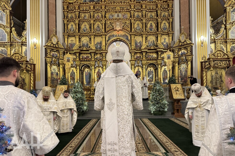 Фото: Донецкое агентство новостей