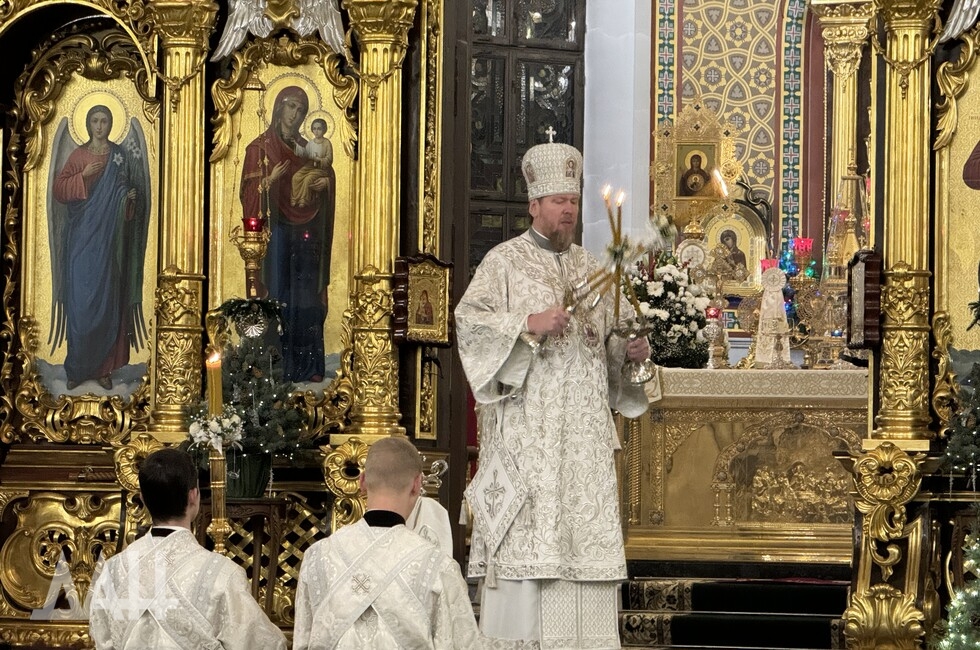 Фото: Донецкое агентство новостей