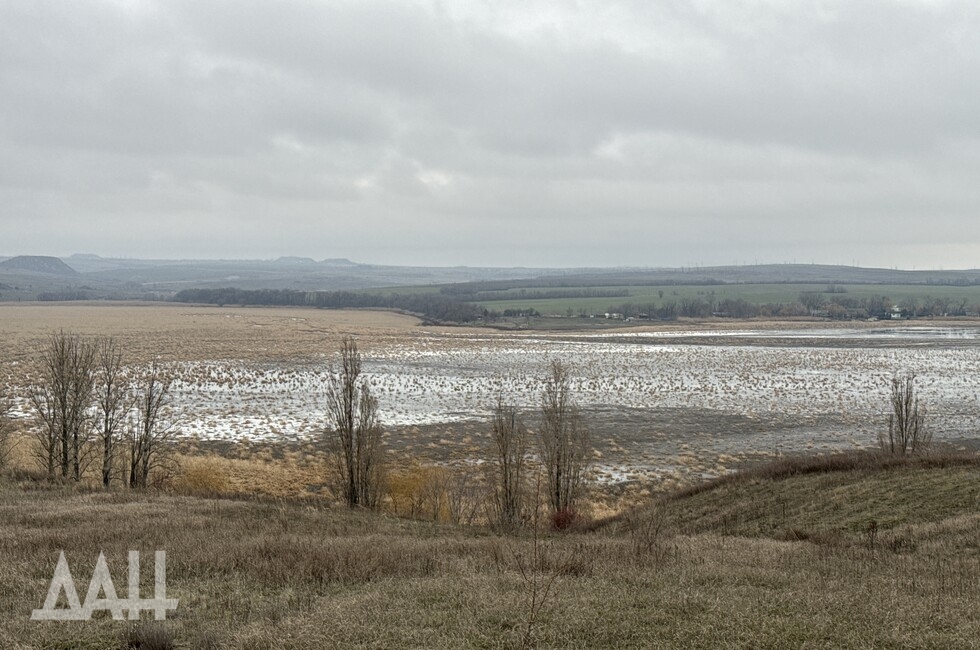 Фото: Донецкое агентство новостей