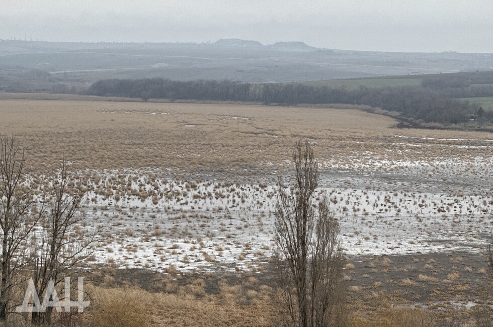 Фото: Донецкое агентство новостей