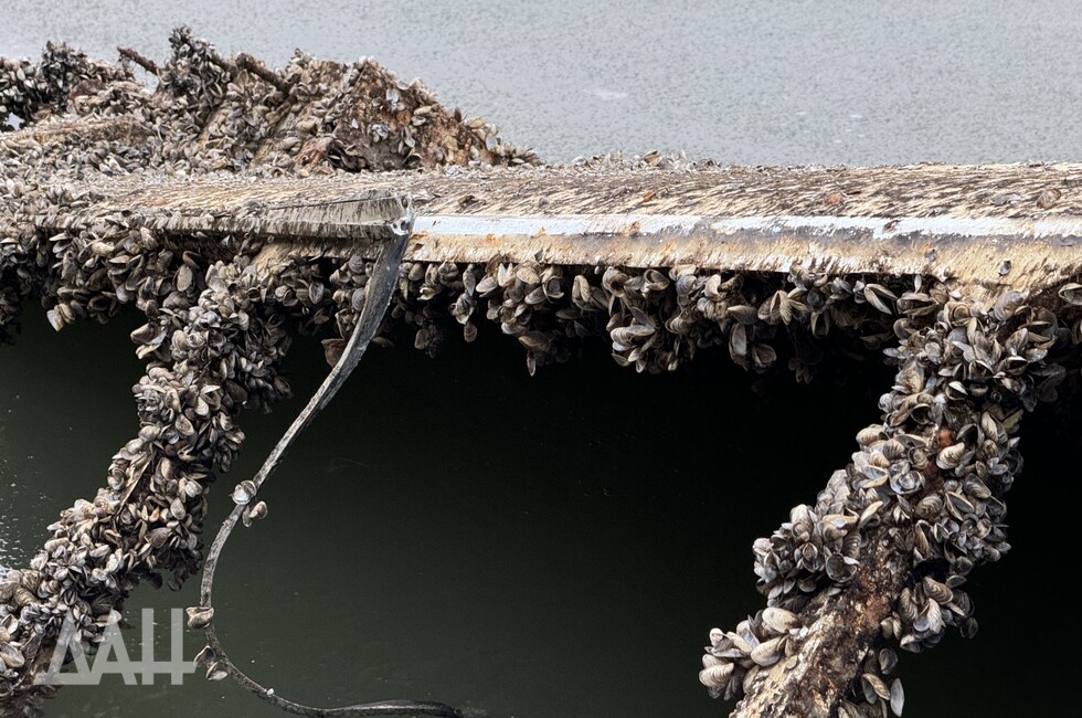 Фото: Донецкое агентство новостей