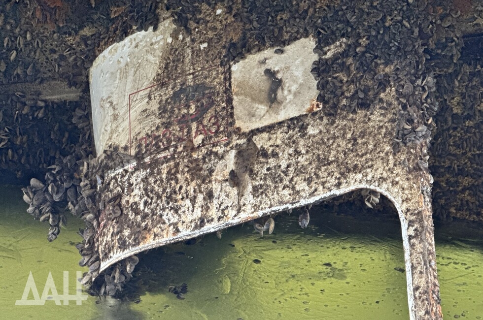 Фото: Донецкое агентство новостей