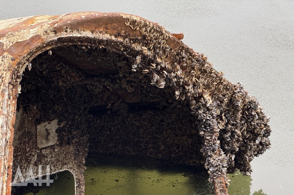 Фото: Донецкое агентство новостей