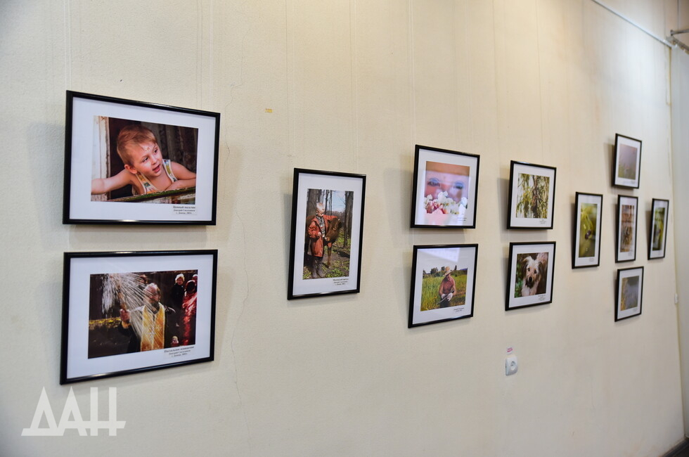 Фото: Донецкое агентство новостей