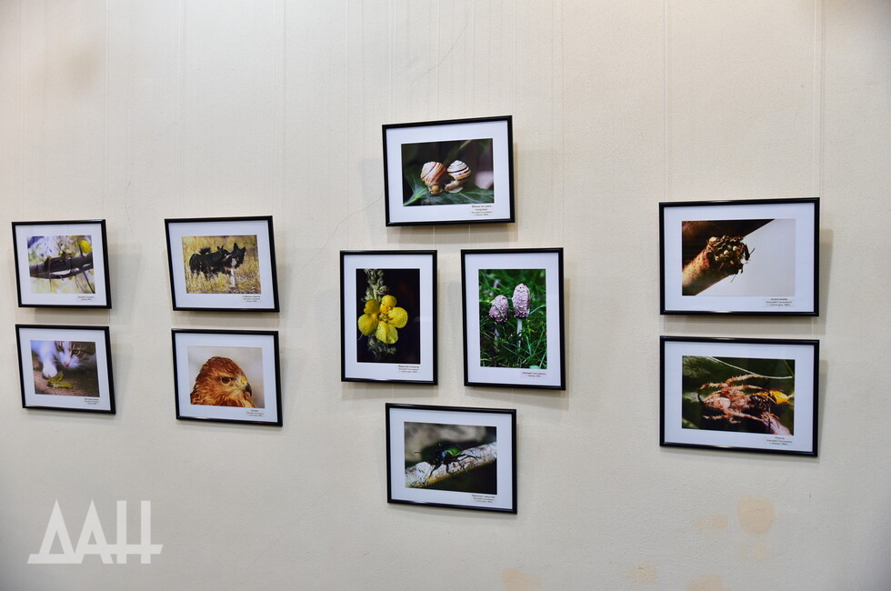 Фото: Донецкое агентство новостей