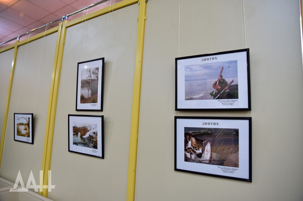 Фото: Донецкое агентство новостей