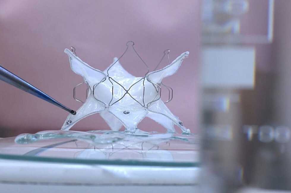 Фото: Центр Мешалкина