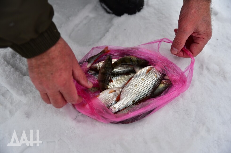 Фото: Донецкое агентство новостей