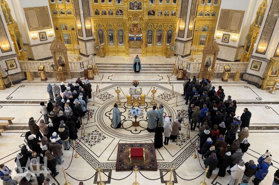 Фото: Донецкое агентство новостей