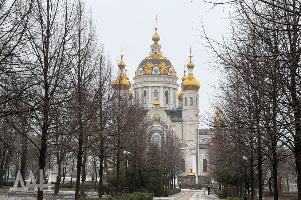 Фото: Донецкое агентство новостей