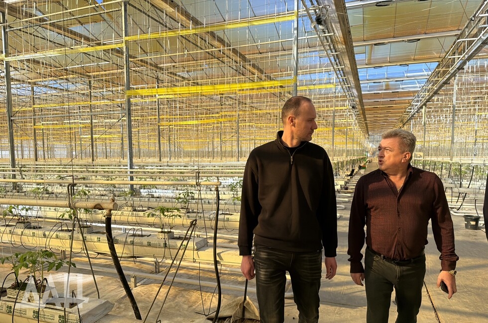 Фото: Донецкое агентство новостей