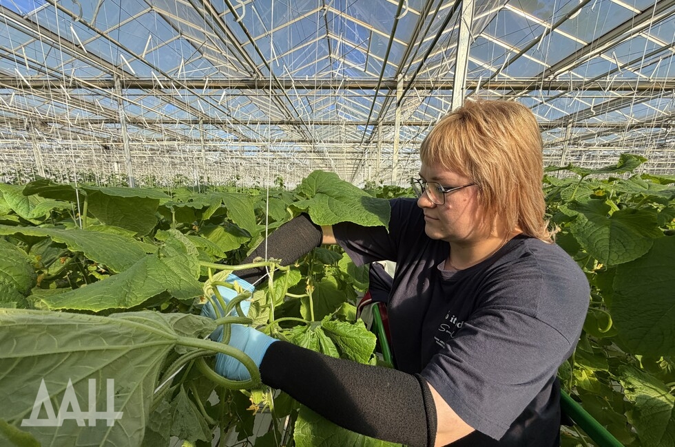 Фото: Донецкое агентство новостей