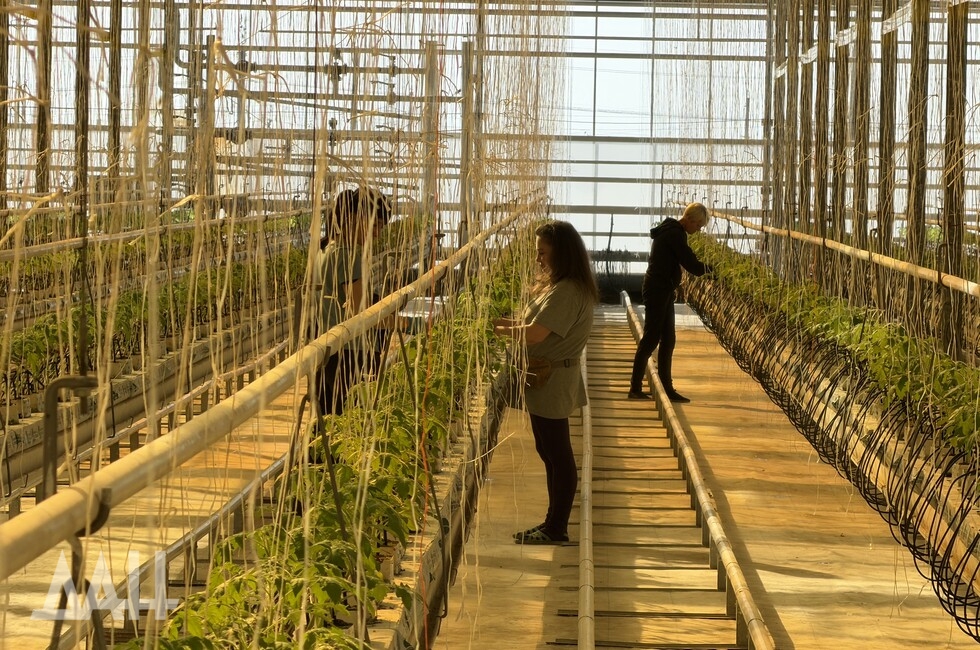 Фото: Донецкое агентство новостей