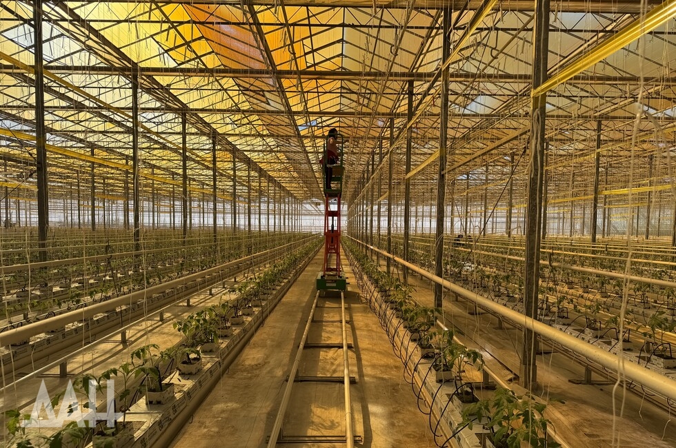 Фото: Донецкое агентство новостей