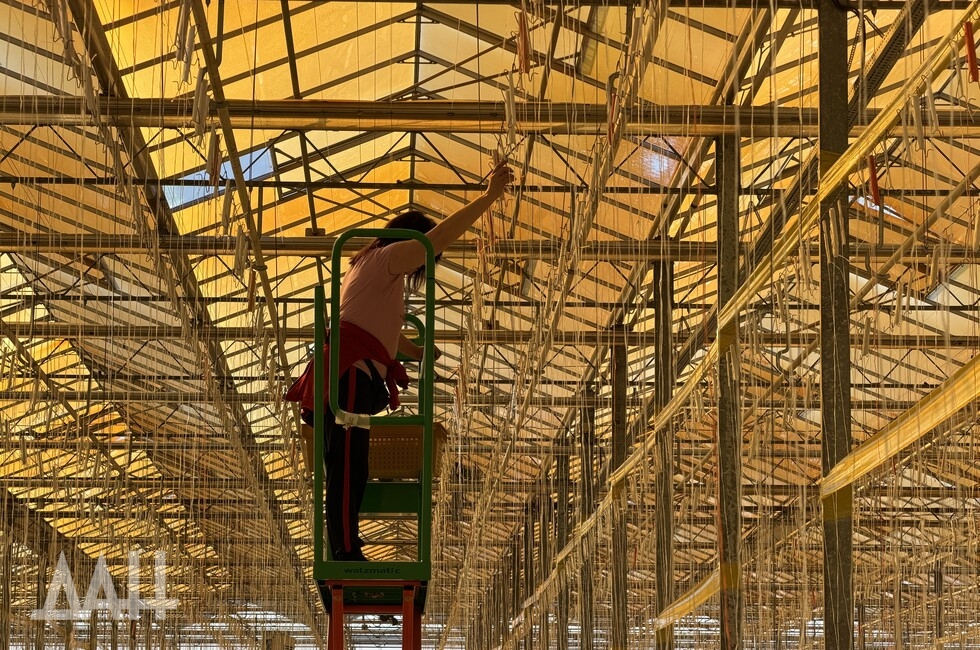 Фото: Донецкое агентство новостей