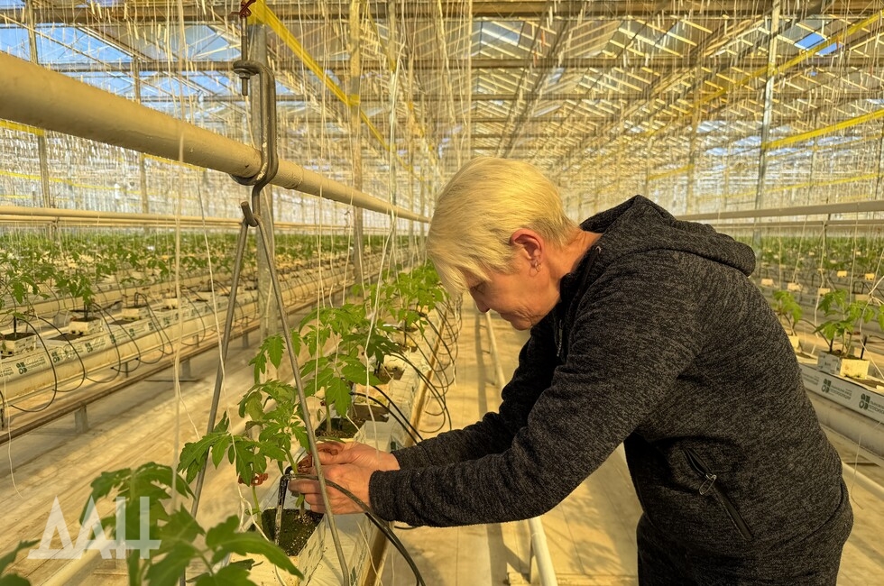 Фото: Донецкое агентство новостей