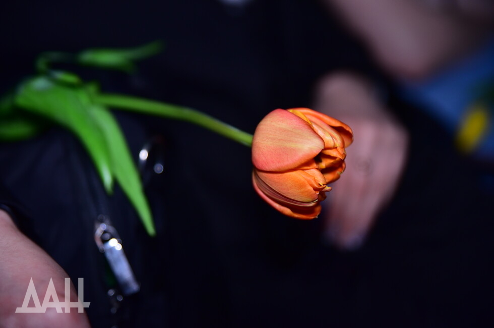 Фото: Донецкое агенство новостей