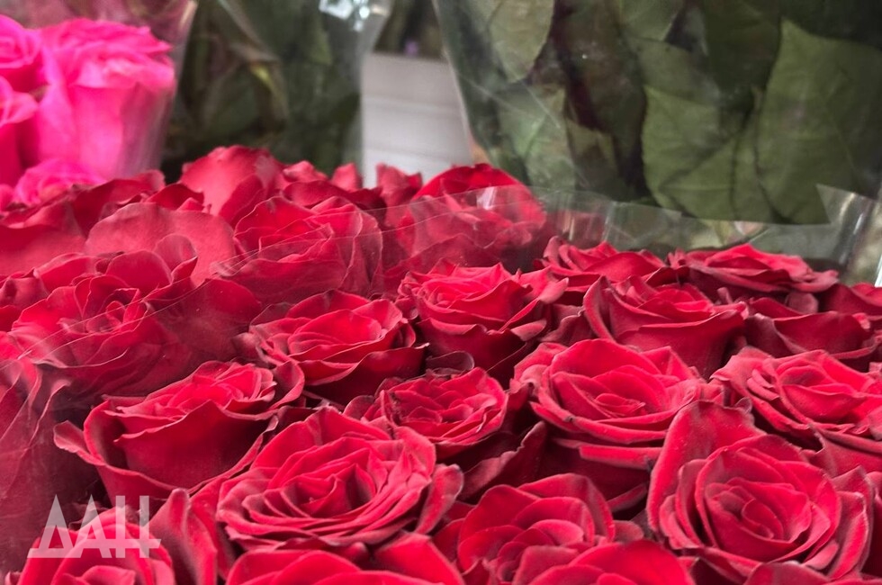 Фото: Донецкое агентство новостей