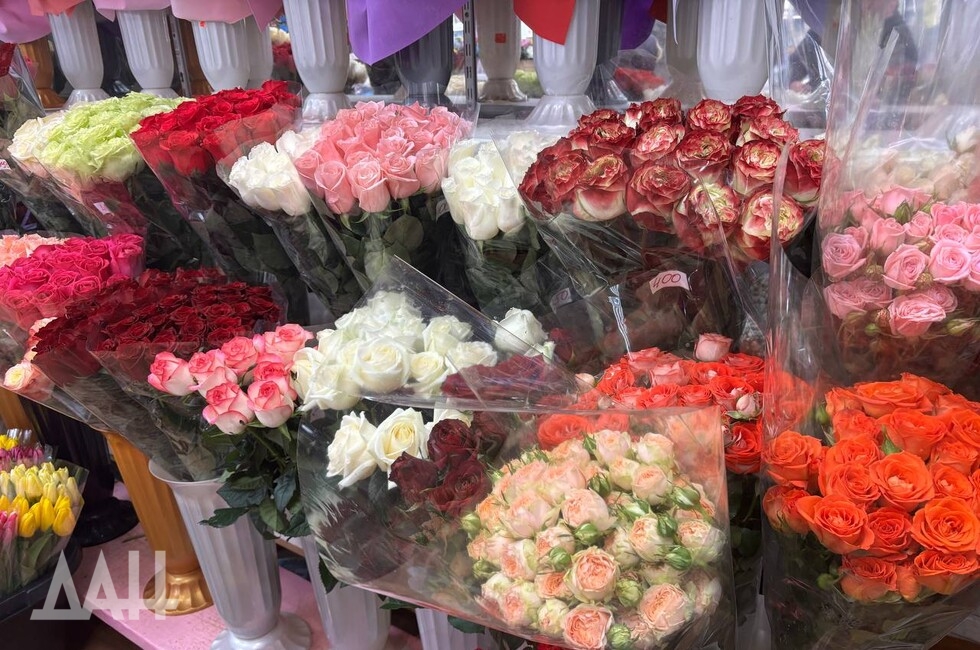 Фото: Донецкое агентство новостей