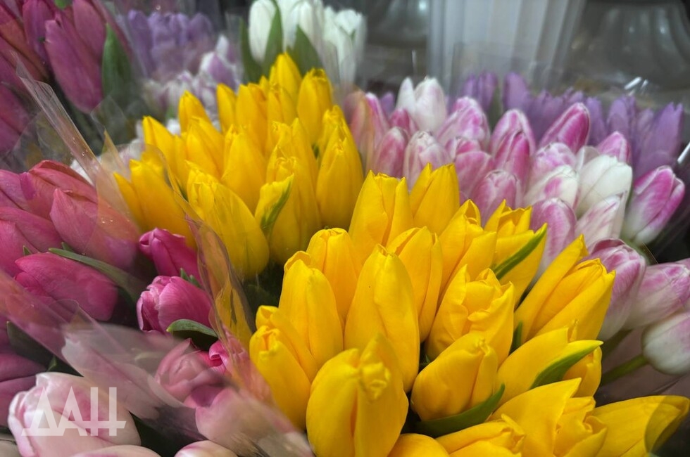 Фото: Донецкое агентство новостей