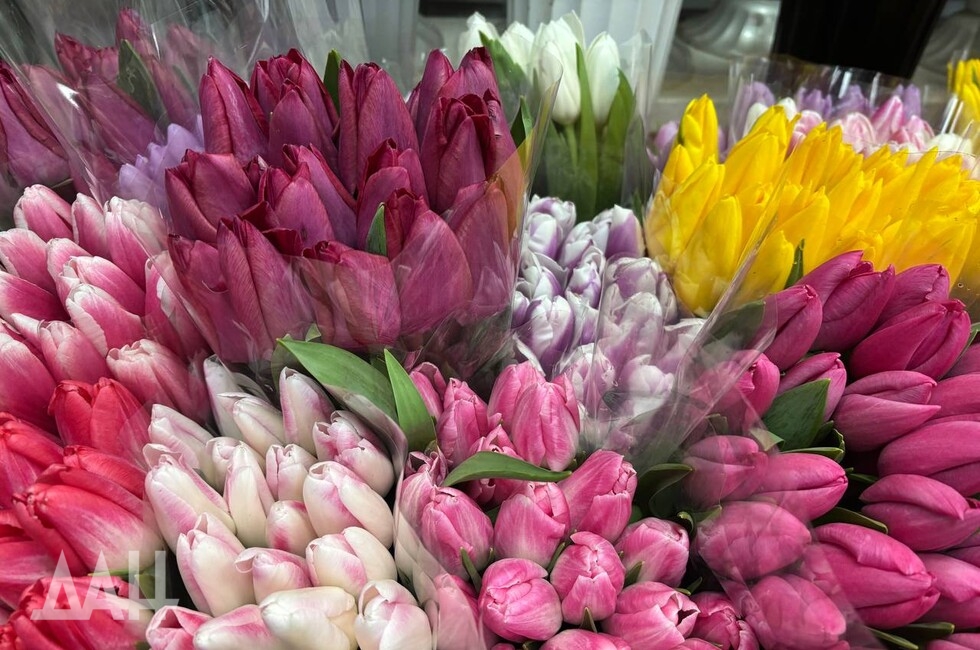 Фото: Донецкое агентство новостей